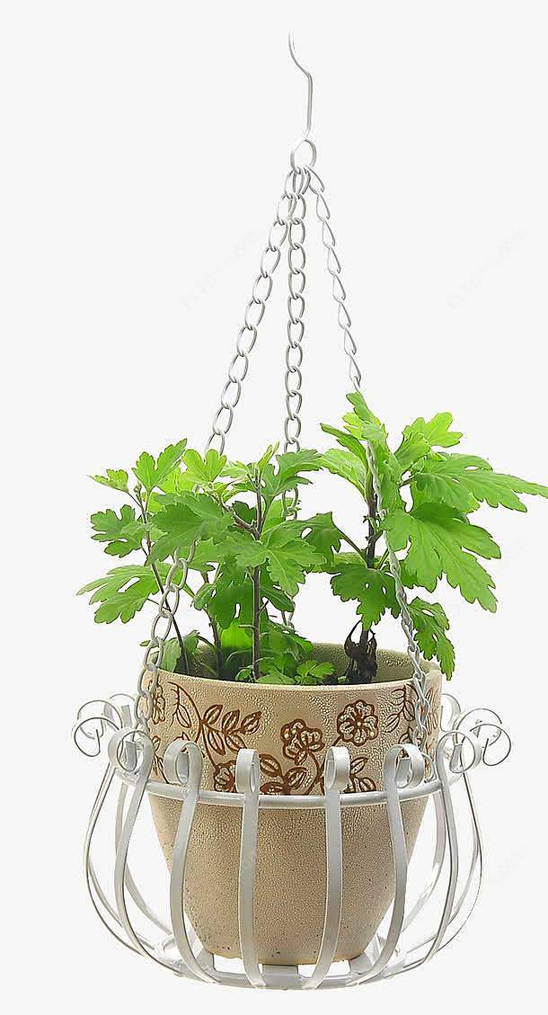 装饰吊篮高清素材 吊篮 家居 时尚 田园.