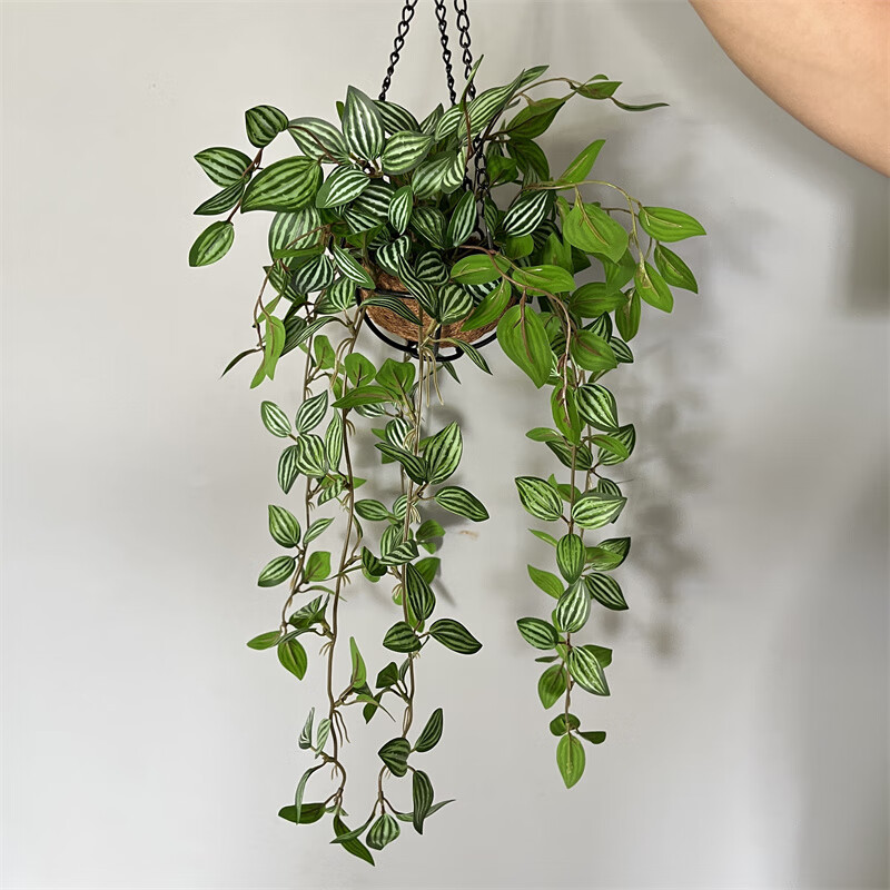 仿真绿植绿萝吊篮室内装饰假植物盆栽幼儿园餐厅造景挂件空间垂吊