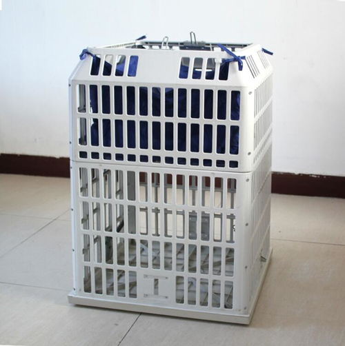 高密煤矿更衣吊篮今日行情免费咨询