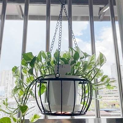阳台垂吊花盆悬挂式铁艺吊篮 吊盆挂篮 吊挂绿萝吊兰植物多肉挂盆