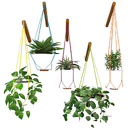 挂墙横幅与动植物元素的巧妙融合 吊篮装饰的魅力